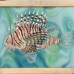 Lionfish framed