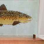 brown trout 1